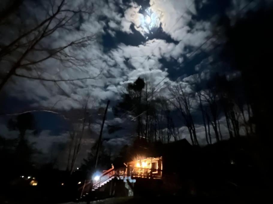 Cubs Den - Hot Tub- Walk To Lake- Fire Pit - Kayaks Oakland Bagian luar foto